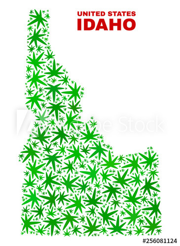 Vector marijuana Idaho State map mosaic. Template with green weed leaves  for marijuana legalize campaign. Vector Idaho State map is formed from weed  leaves. Stock Vector | Adobe Stock
