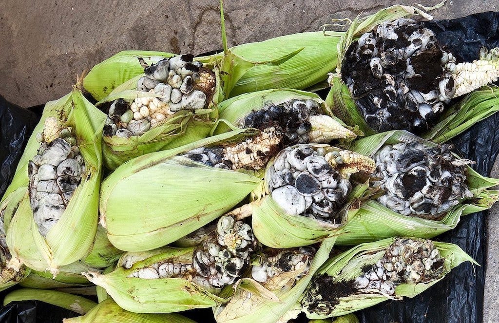 Huitlacoche: Hard to Say, Easy to Eat – Julia Eats