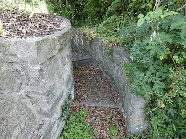 St. Colmcille's Well, Calliaghstown, Co. Meath, View up the steps.