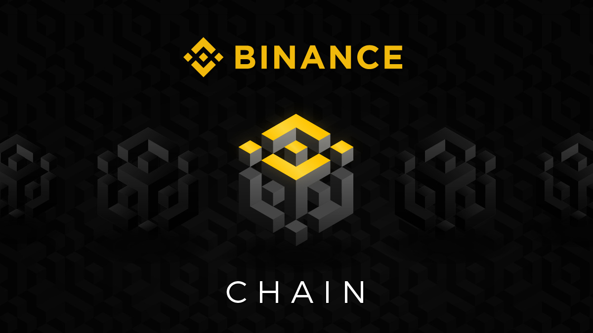 Image result for binance chain