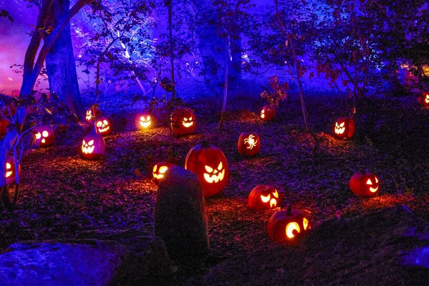 The "Carved" event at Descanso Gardens where the night is lit by hundreds of carved pumpkins.