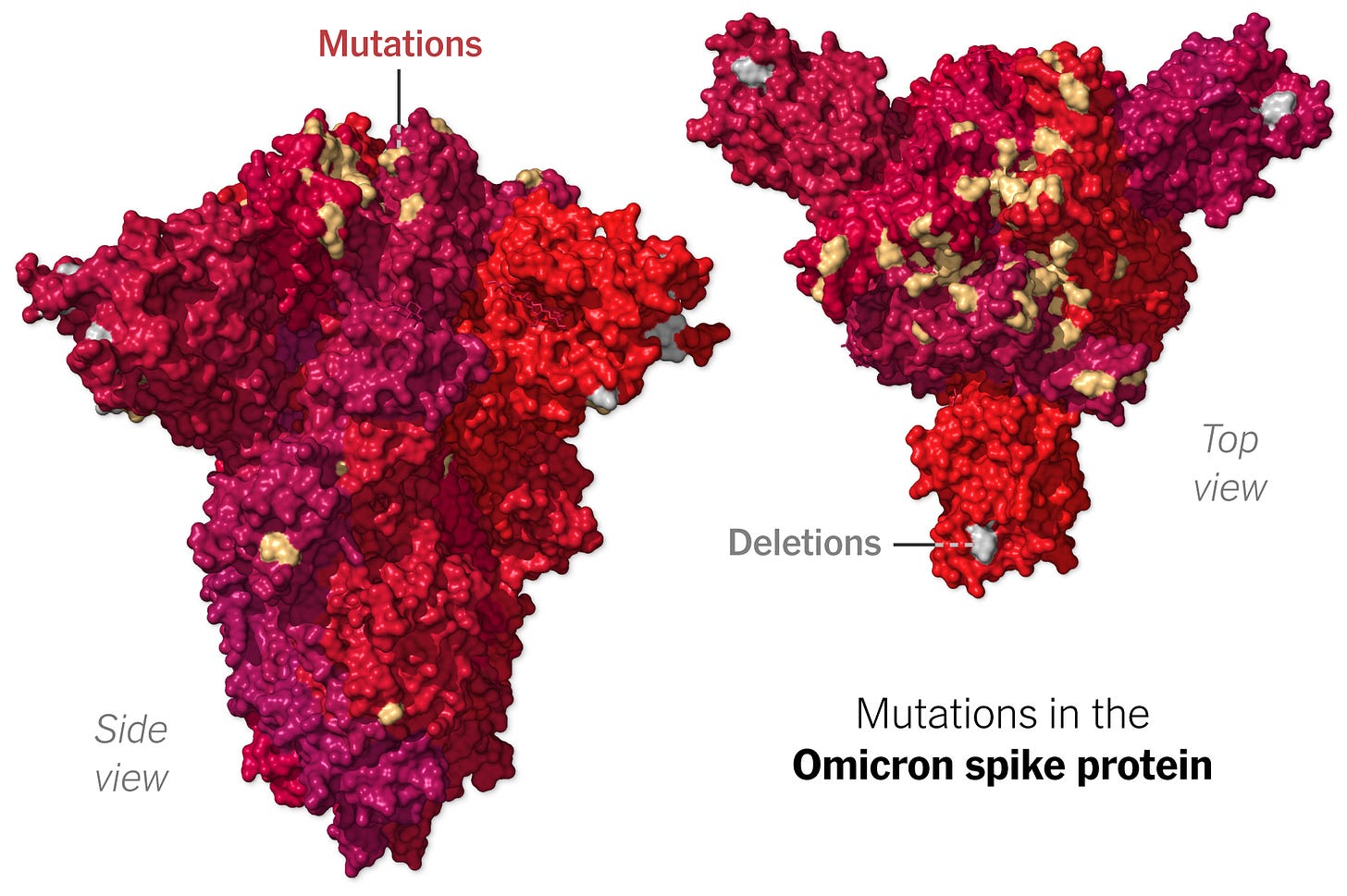 Tracking Omicron and Other Coronavirus Variants - The New York Times