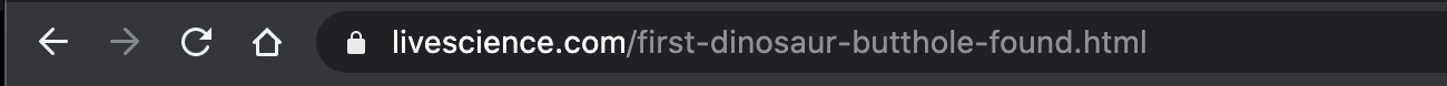 url: first dinosaur butthole found dot html