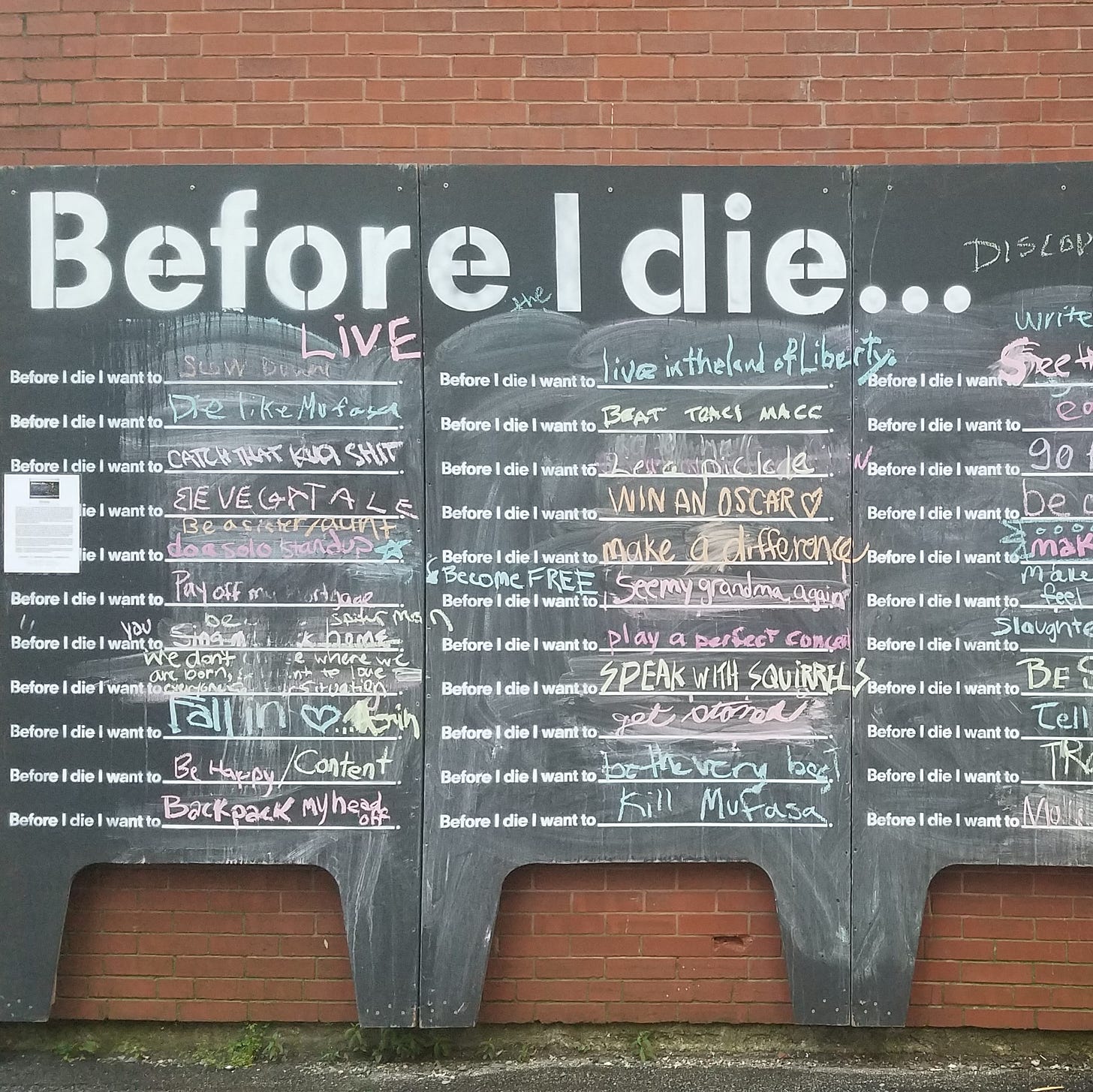 Blackboard art installation against a brick building. The heading says "Before I die" and people have written filled in the prompt with their ideas.