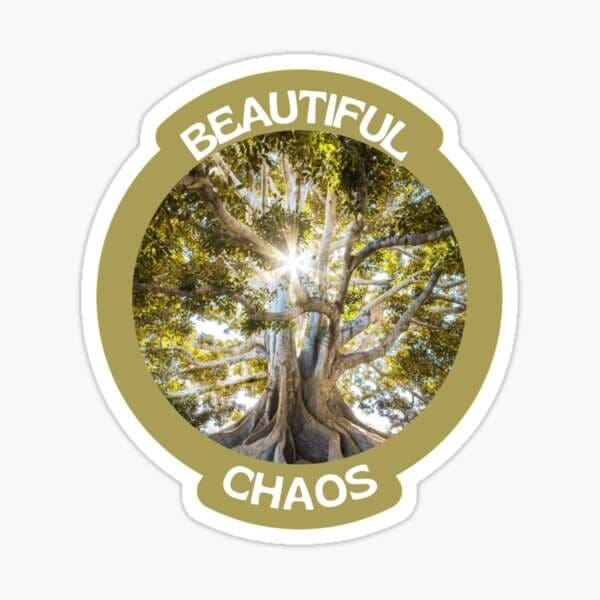 Beautiful Chaos