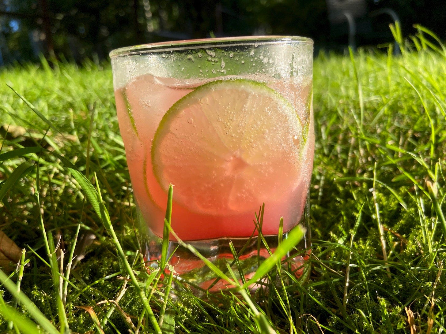 Picture of a blushing pink drink in a sweaty glass, on deep green lawn.