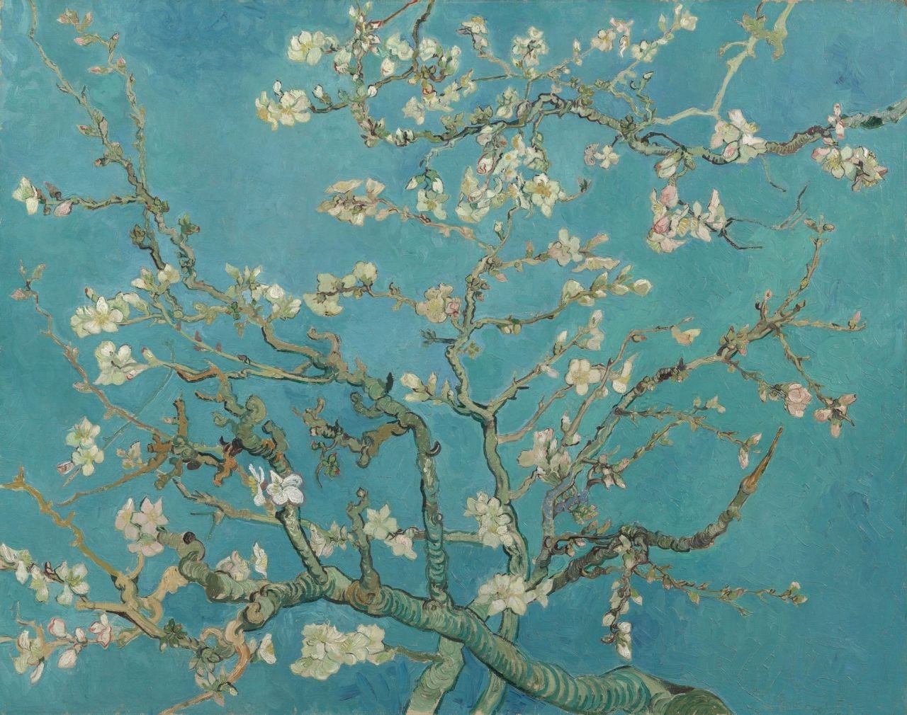 Almond Blossom - Vincent van Gogh - Van Gogh Museum