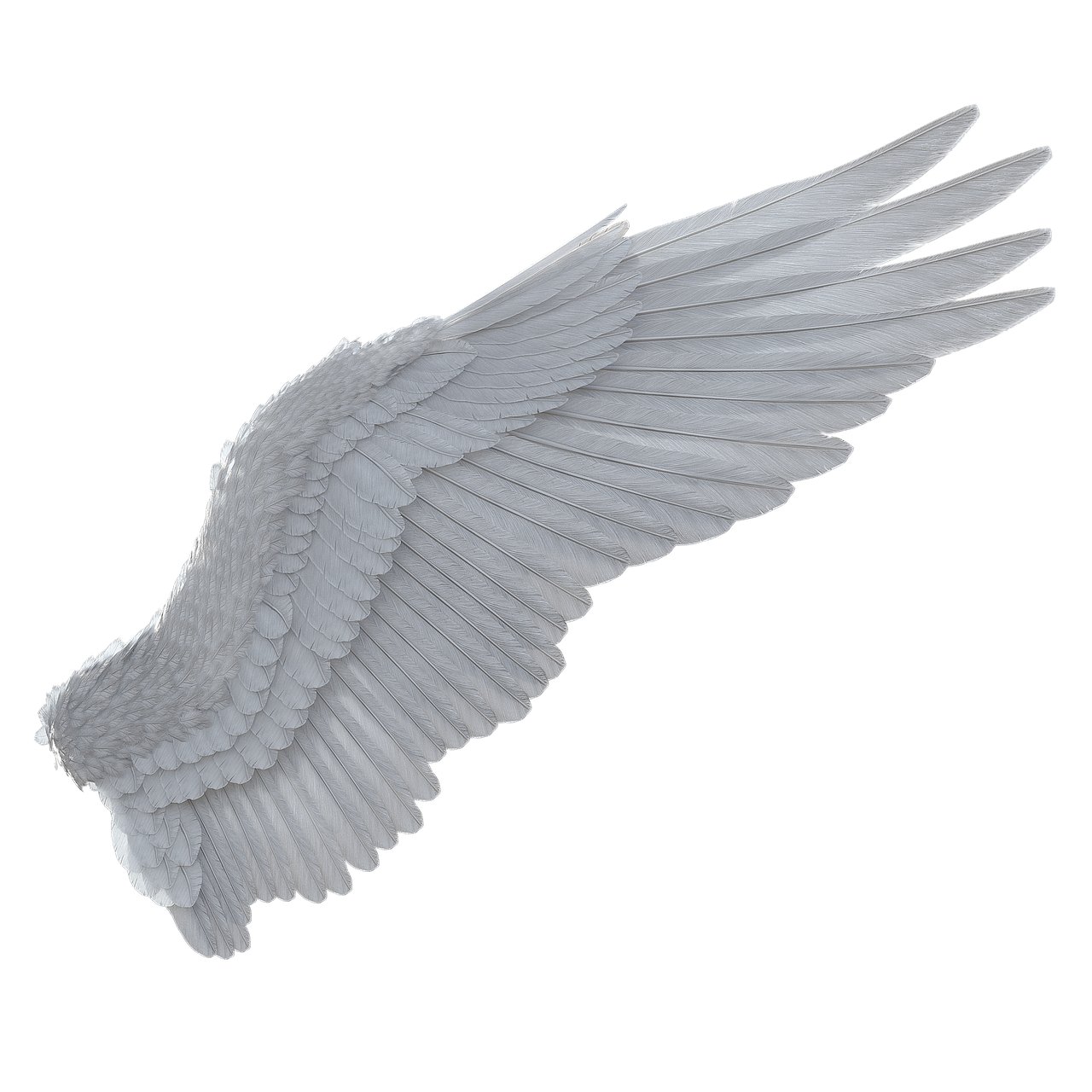 Wing Fantasy Bird - Free image on Pixabay