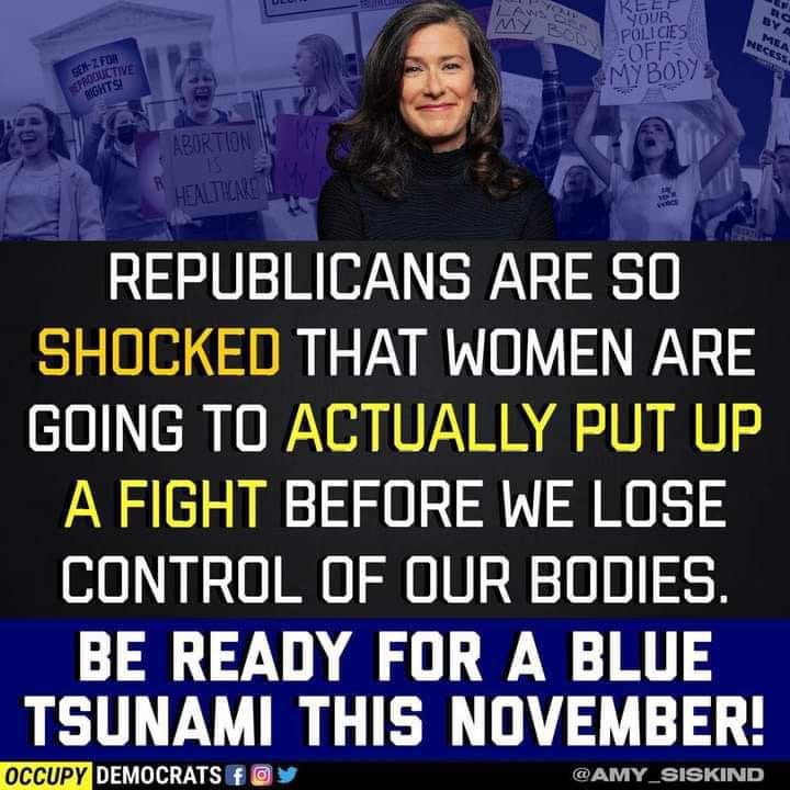 This image from Occupy Democrats of Amy Siskind (i think) smiling against a backdrop of pro-abortion protesters, reads, "Republicans are so shocked that women are going to put up a fight before we lose control of our bodies. Be ready for a blue tsunami this November", read