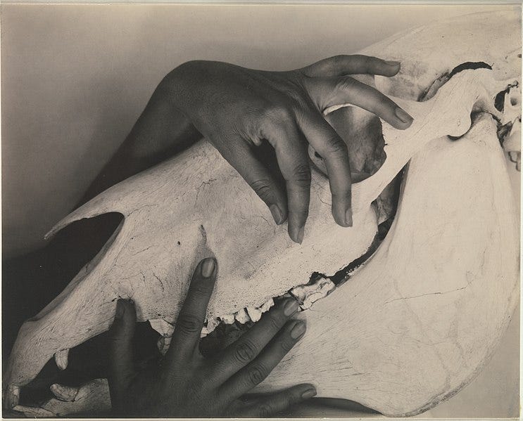 File:Georgia O'Keeffe—Hands and Horse Skull MET DP232998.jpg