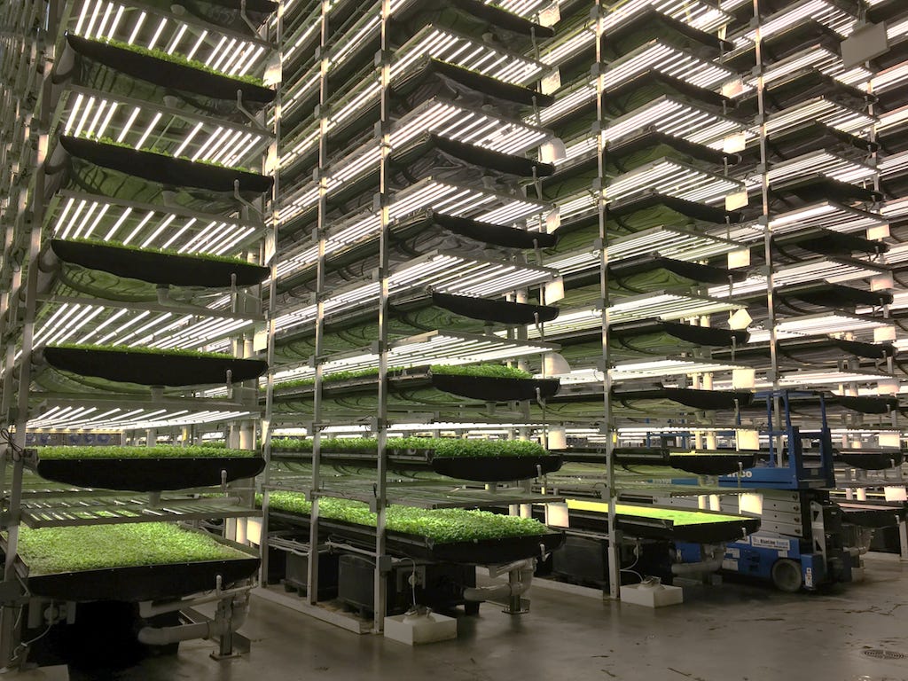 AeroFarms vertical farming