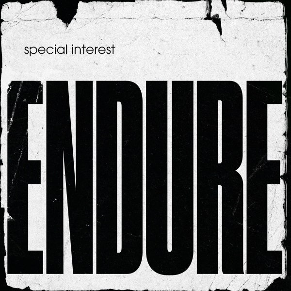 Special Interest: Endure Album Review | Pitchfork
