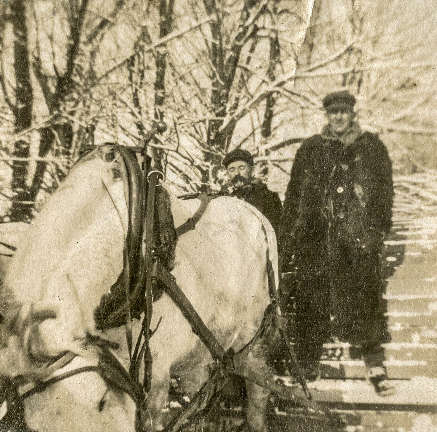 Otis and Edward on snow roller