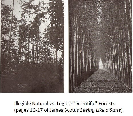 Image result for scientific forest