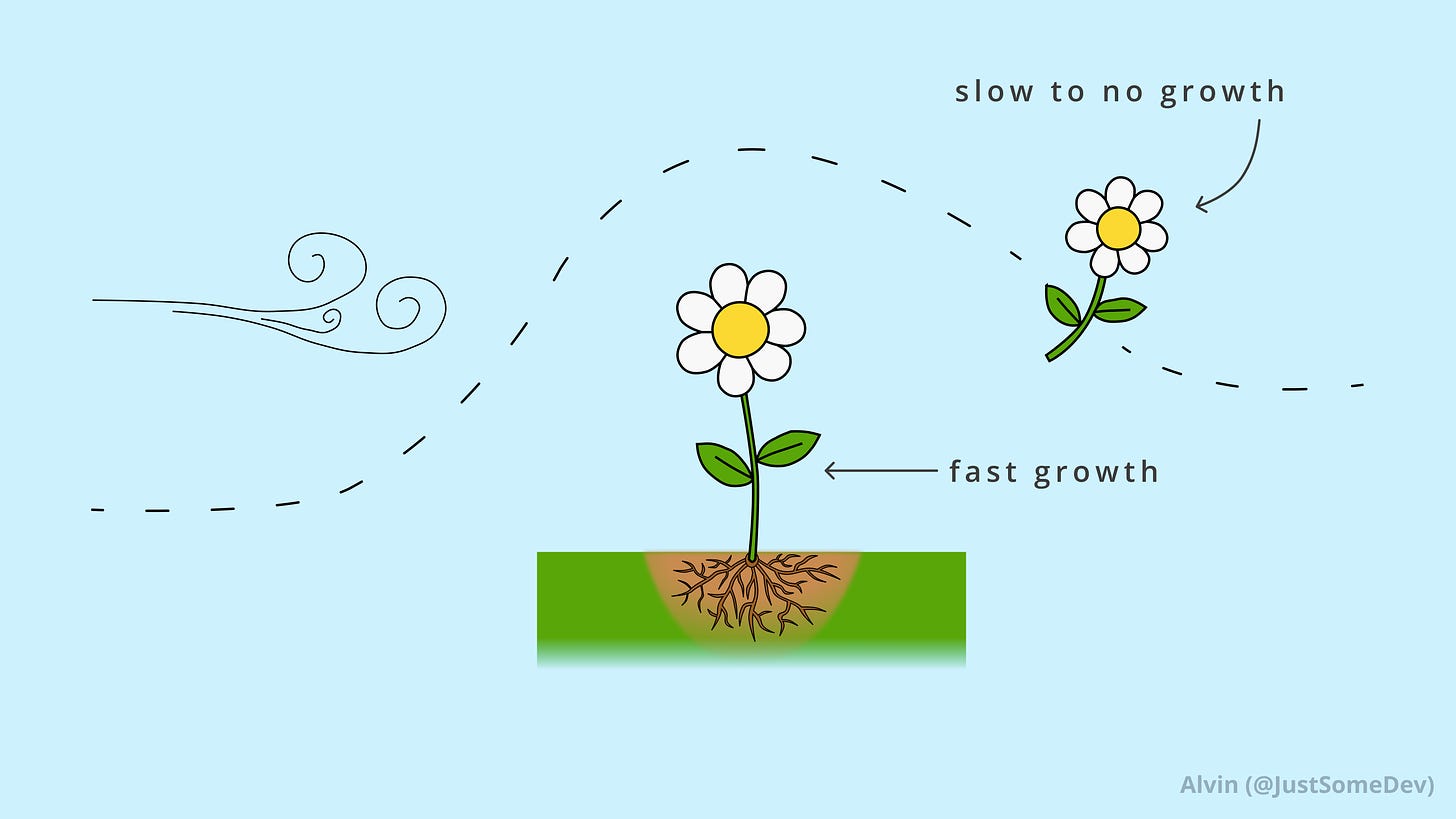 A flower rooted to the ground grows fast, while a flower blowing around in the air grows slowly.