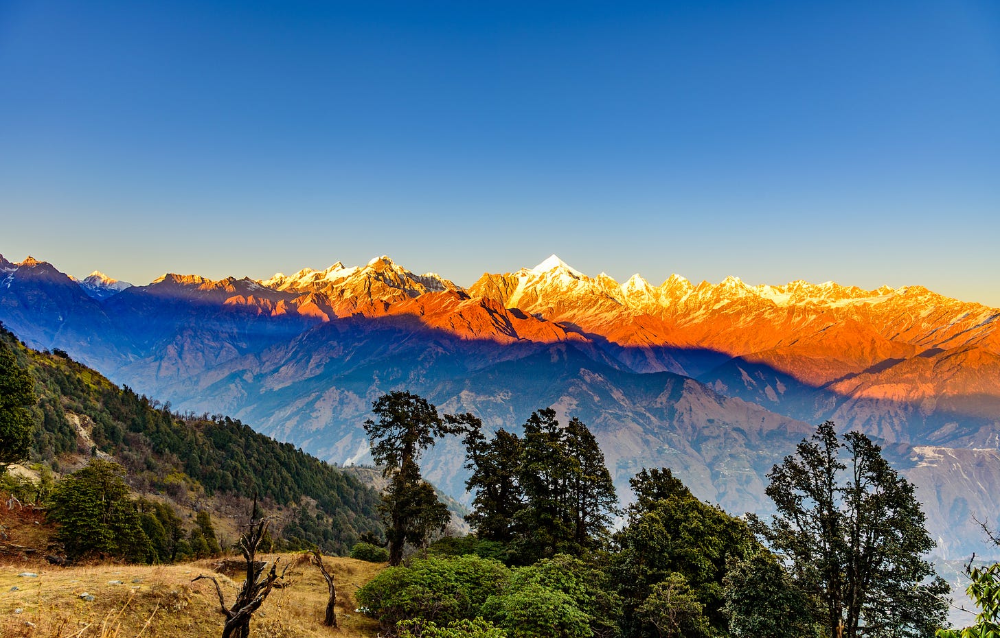 Sunset view of  Himalayas Panchchuli  peaks &amp; Alpine Landscape from Khalia top trek trail at  Munsiyari .   Shutterstock - Amit Kg