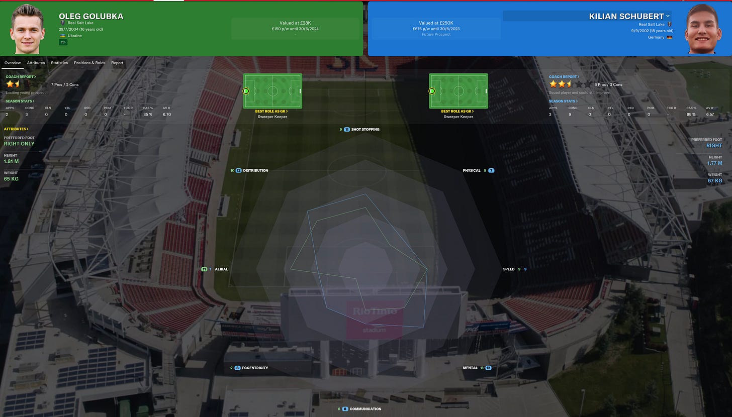 Football Manager 2021 Schubert Golubka