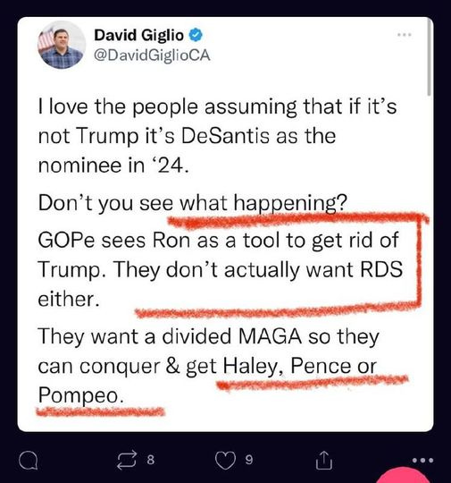 May be an image of 1 person and text that says 'David Giglio @DavidGiglioCA |love the people assuming that if it's not Trump it's it' DeSantis as the nominee in '24. Don't you see what happening? GOPe sees Ron as a tool to get rid of Trump. They don't actually want RDS either. They want a divided MAGA so they can conquer & get Haley, Pence or Pompeo.'