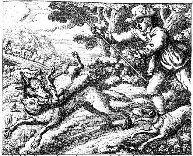 Engraving of the boy who cried wolf, the part where a wolf runs off with one of the sheep