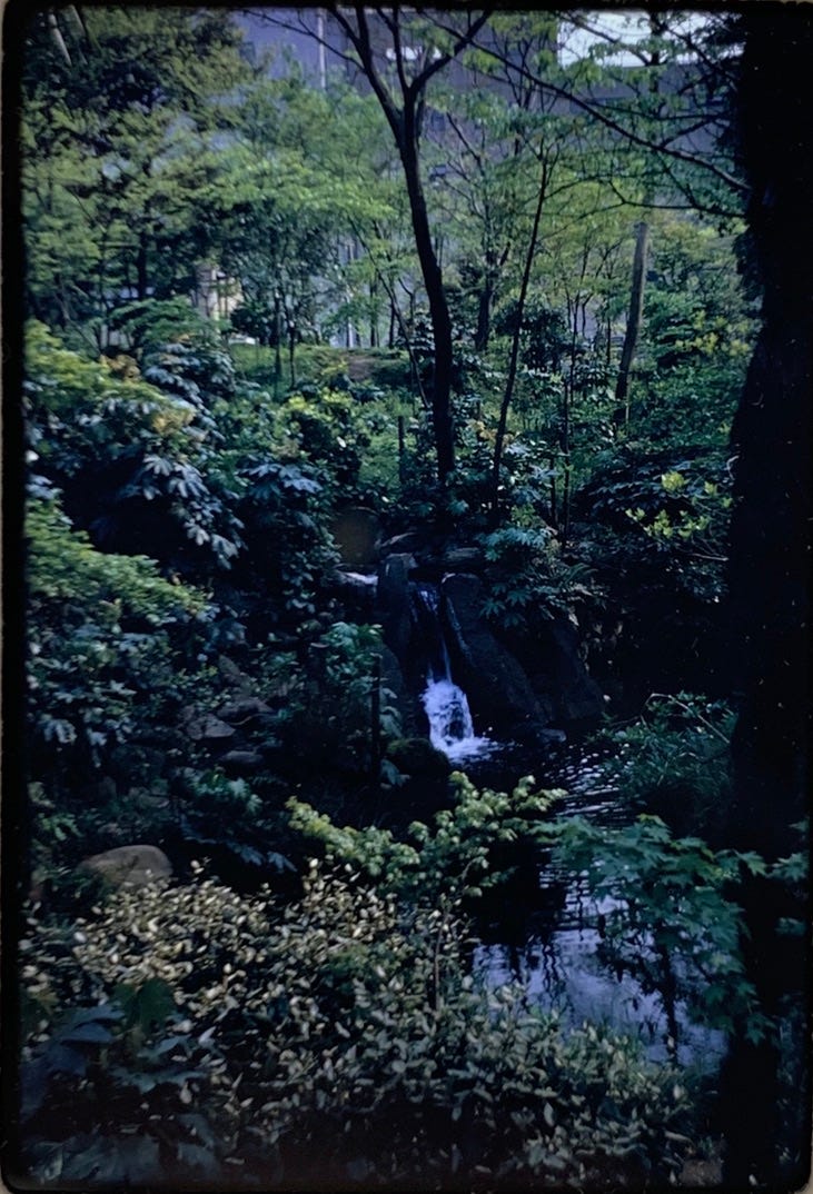 A small waterfall in a lush green area.