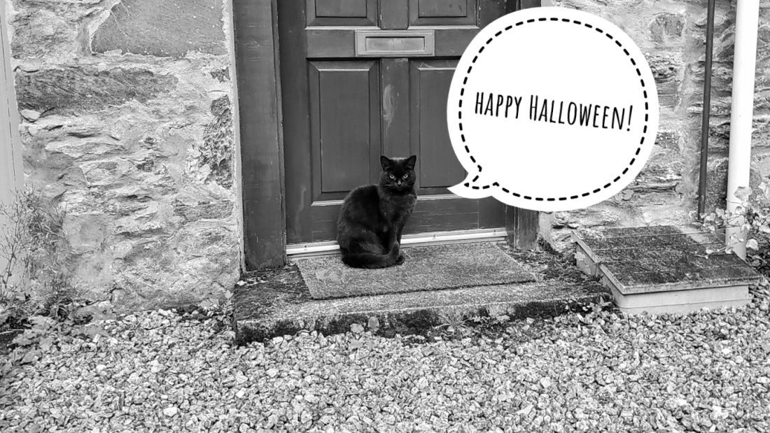 A black cat sits on a mat in front of a wooden door with a superimposed speech bubble that reads "happy halloween!"