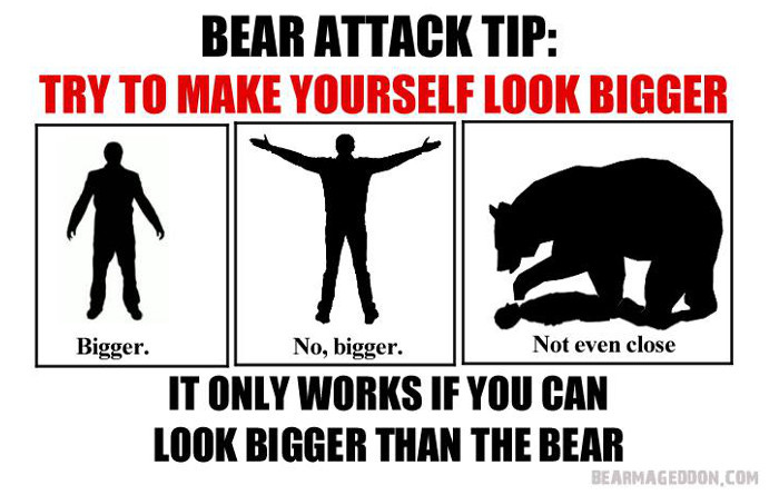 Here&#39;s a Bear Attack Myth You Need to Let Go of Right Now