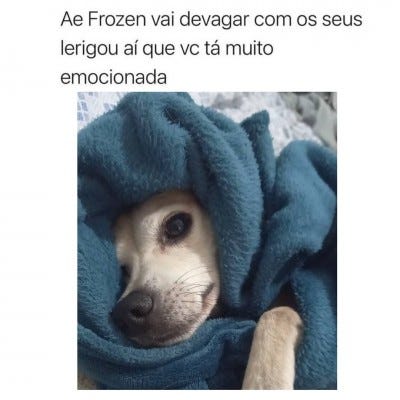 cachorro enrolado em cobertor de lã azul, com expressão triste
