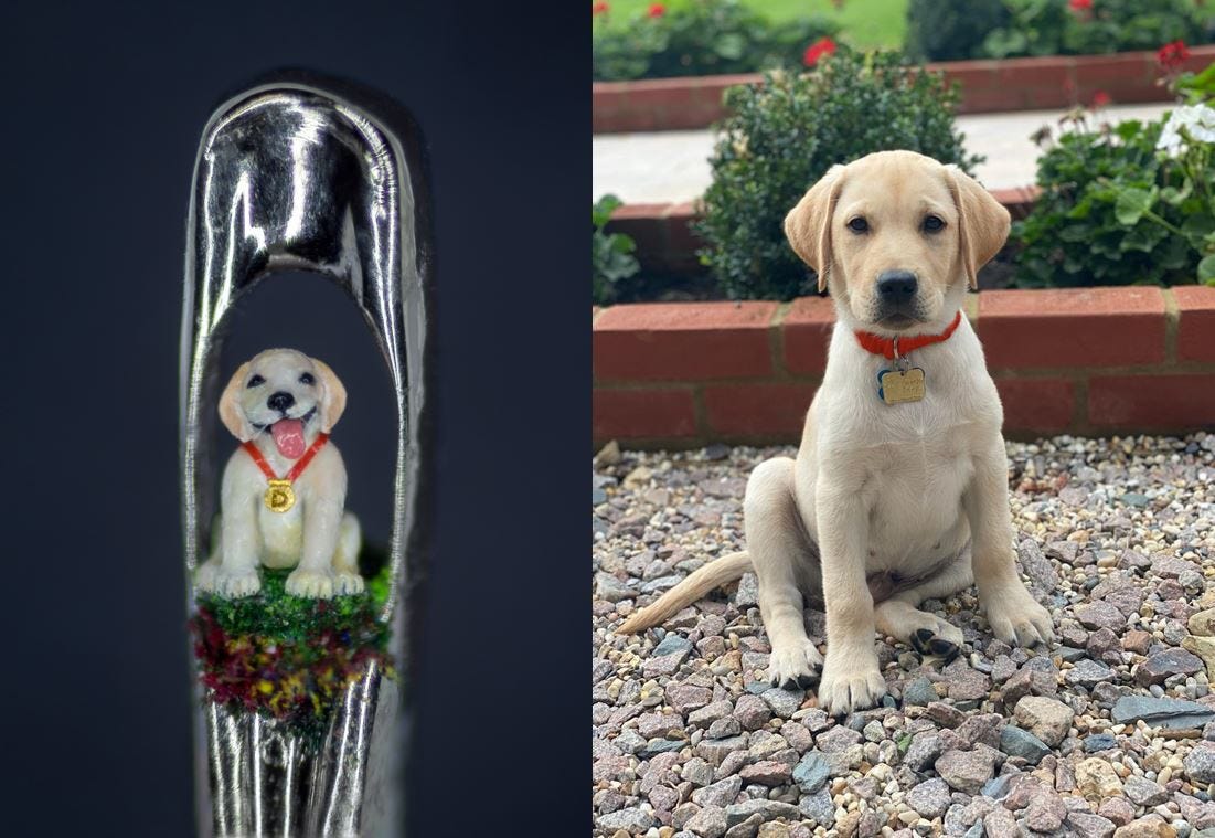 On the left is a picture of Willard Wigan's sculpture of guide dog puppy Daniel sitting on the eye of a needle. On the right, a picture of real life yellow Labrador puppy Daniel named in honour of Willard Wigan's sculpture. 