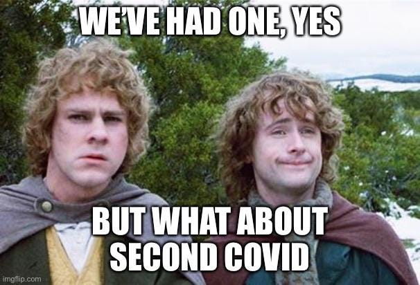 Don&#39;t think they know about Second COVID, Pip.: lotrmemes