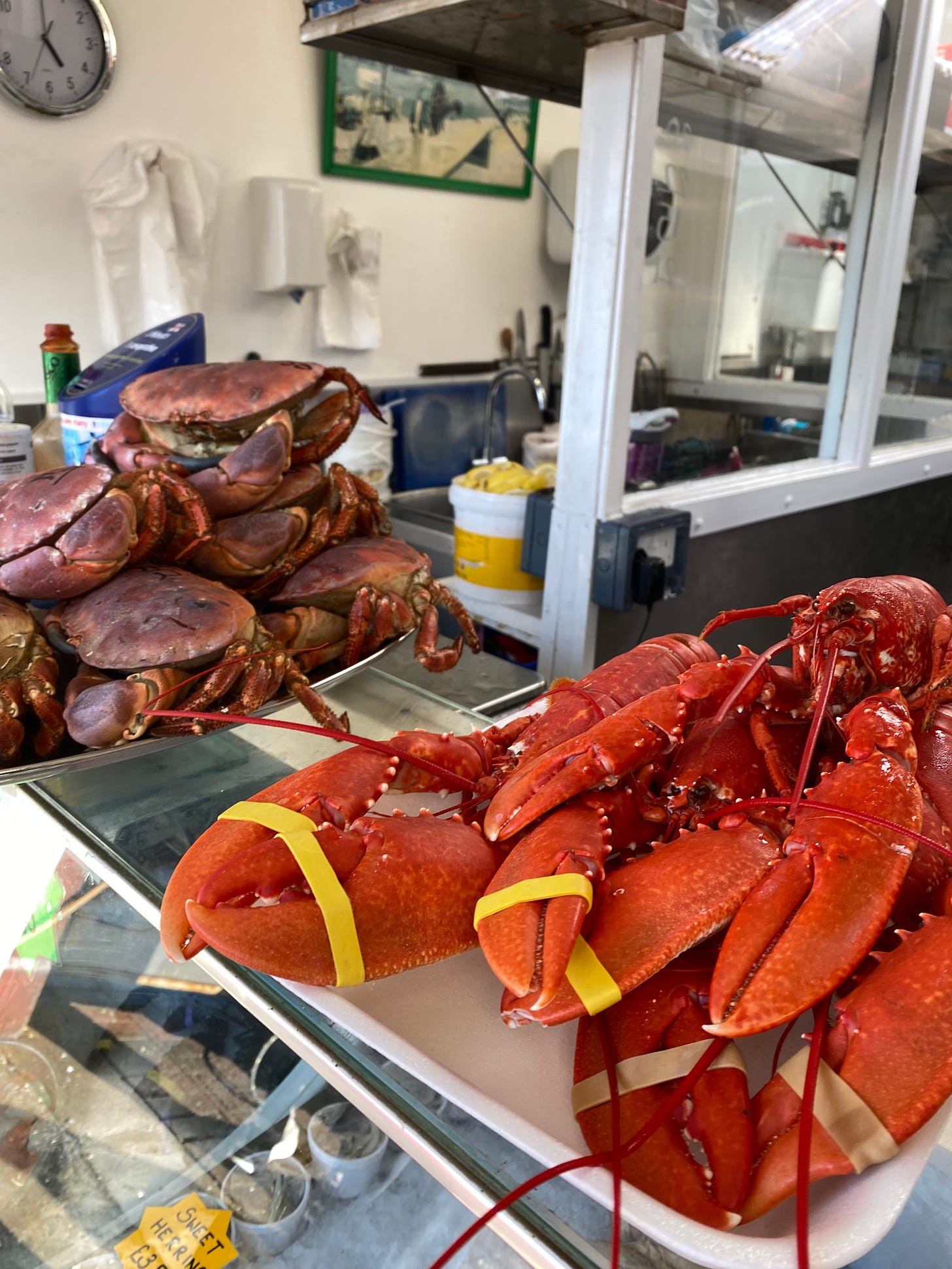 oban-lobster-crab-green-shack-seafood