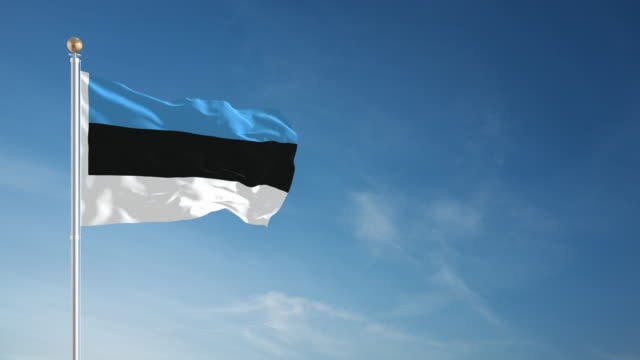 111 Estonia Flag Videos and HD Footage - Getty Images