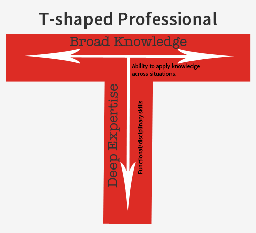 T-shaped Professional Model - Power2Improve
