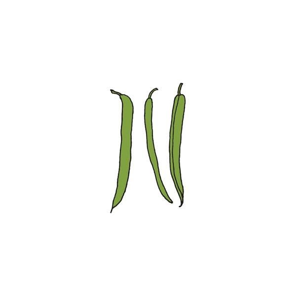 tattly_julia_rothman_beans_web_design_01_grande