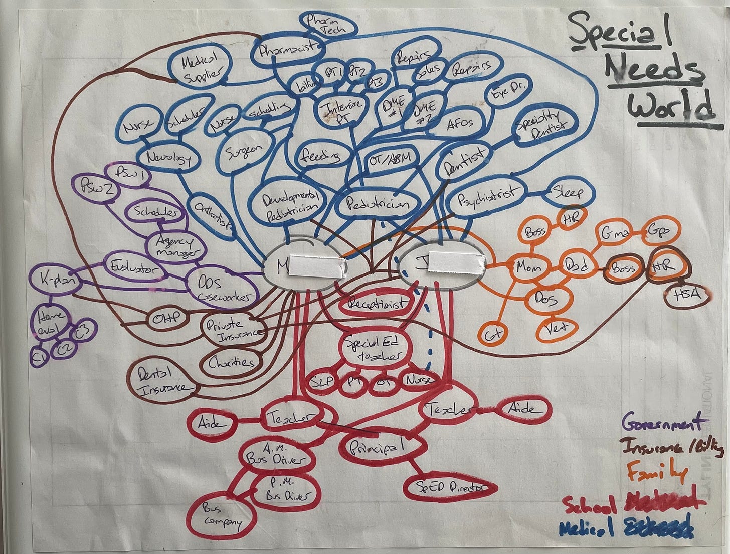 A hand-drawn bubble chart titled Special Needs World in blue, red, brown, purple and orange with the titles of various health, social work and school system professionals.