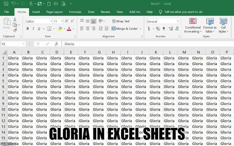  GLORIA IN EXCEL SHEETS | image tagged in gloria in excel sheets | made w/ Imgflip meme maker