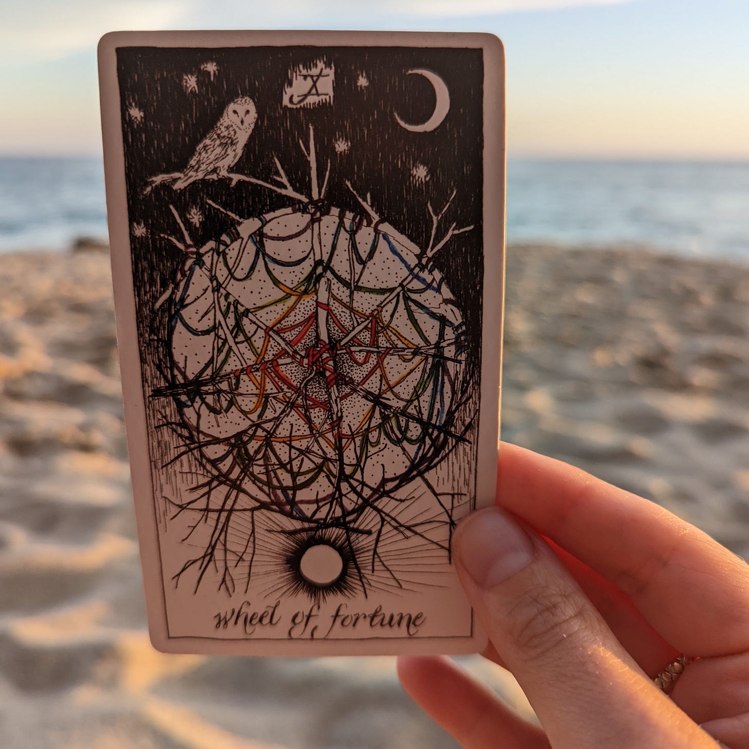A hand holds up The Wheel of Fortune tarot card from The Wild Unknown Tarot deck on a beach at sunset. The card features a dreamcatcher made from rainbow thread and branches, with 4 branches crossed in the center to make a compass. An owl is perched at the top of the dreamcatcher, with a crescent moon on the right hand side of the card. The sun is at the bottom of the card.