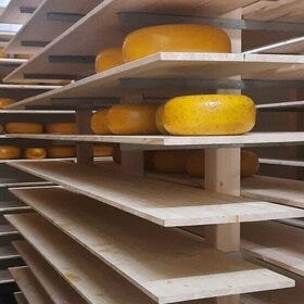 Major Cheese Heist Puts Dutch Dairy Farmers on Alert - The New York Times