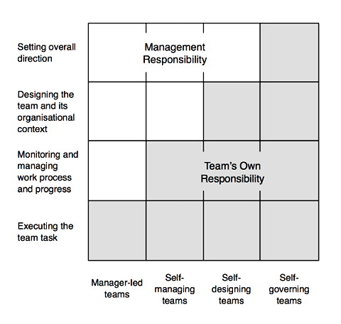 Image result for management agile levels autonomous teams