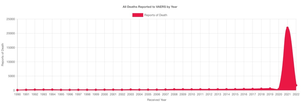 Chart

Description automatically generated