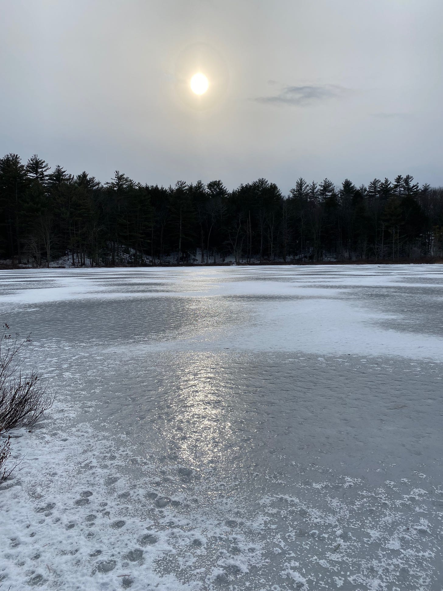 A pale golden sun shining above an ice-covered pond. The sky is sleet gray and cloudy. The sun leaves a shimmery trail across the pond, which is silver with ice, and covered in small white snowdrifts. There is a line of dark evergreen trees along the pond’s far bank.