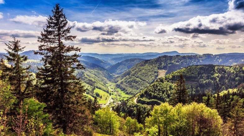 Mittelweg: Hiking the Black Forest in Germany | Bookmundi