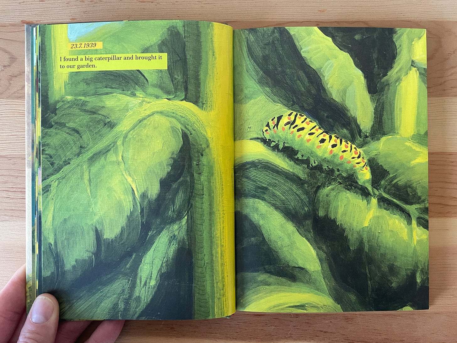A book laid open to a painting of a caterpillar crawling up a leafy plant. Text on the page is in the caption.