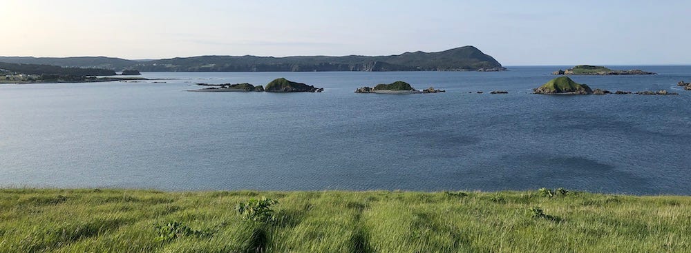 a view in Ferryland located in Newfoundland & Labrador