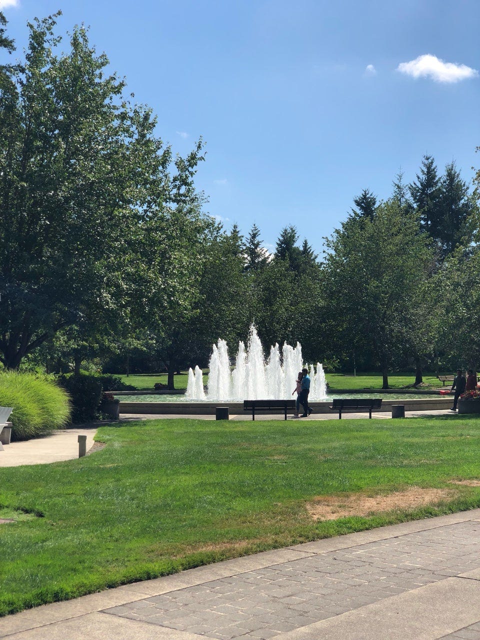 View of the Fountain at Microsoft 