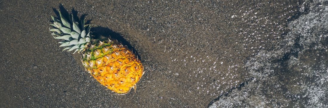 Pineapple washed up on a beach.