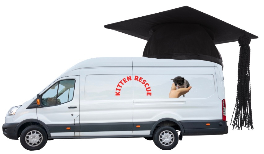 Panel van labeled Kitten Rescue and wearing giant mortar board