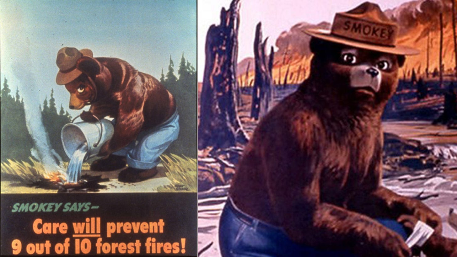 Five facts you didn&#39;t know about Smokey the Bear on his 70th birthday -  6abc Philadelphia