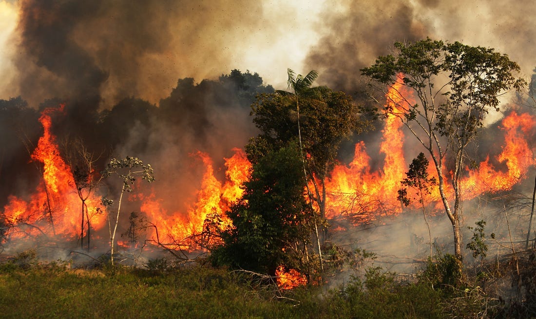 Amazon rainforest fires are breaking records, darkening sky in ...