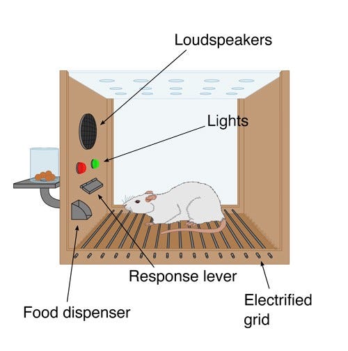 A diagram of a Skinner Box.