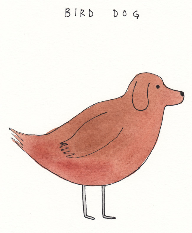 bird dog - Original Drawing — Marc Johns